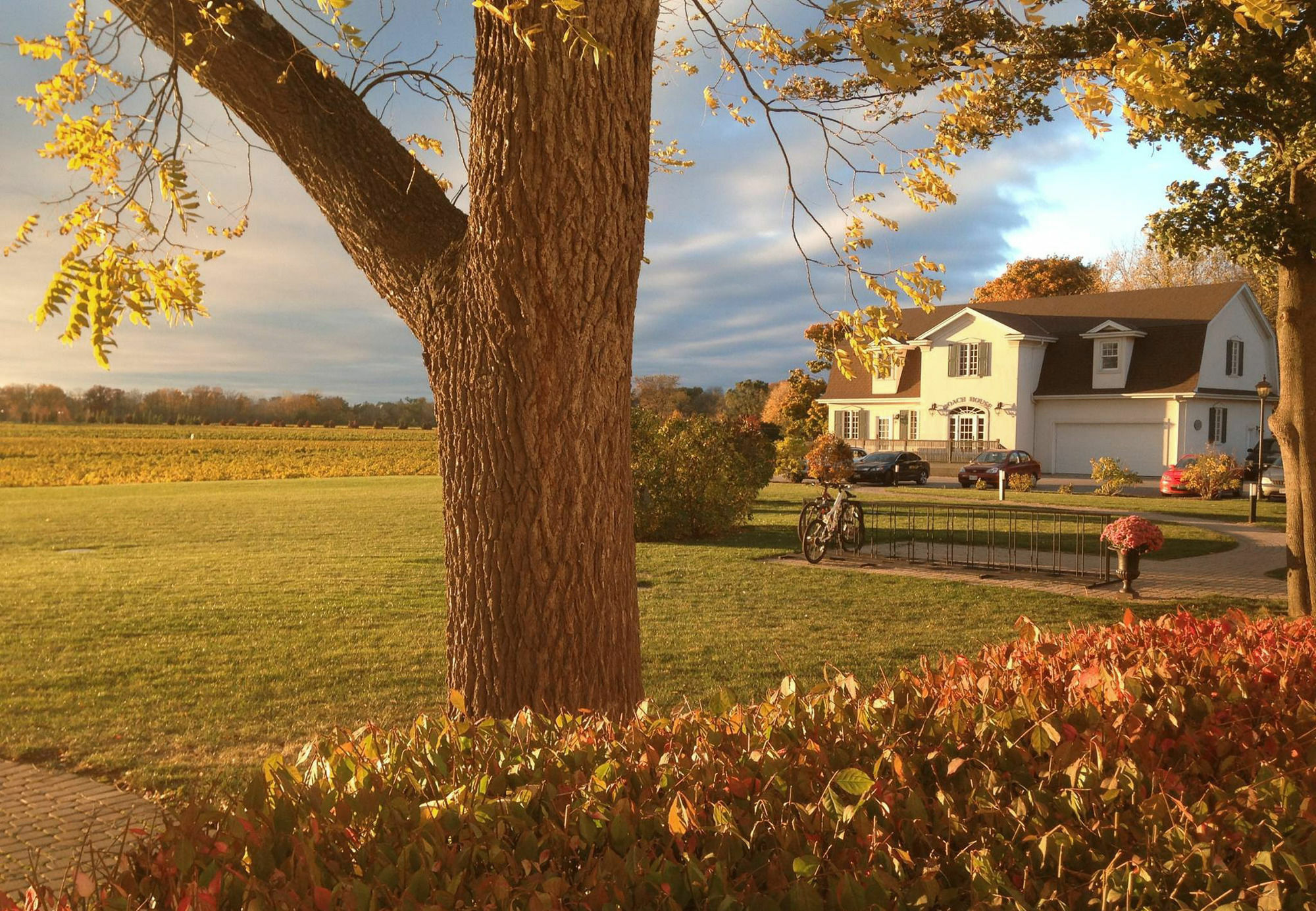 Riverbend Inn & Vineyard Niagara-on-the-Lake Екстериор снимка